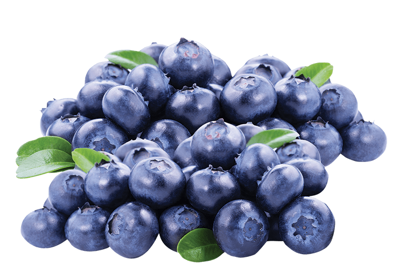 Fresh Blueberries 170 g