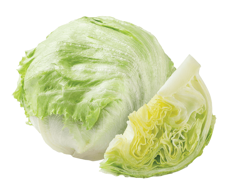 Fresh Iceberg Lettuce Head