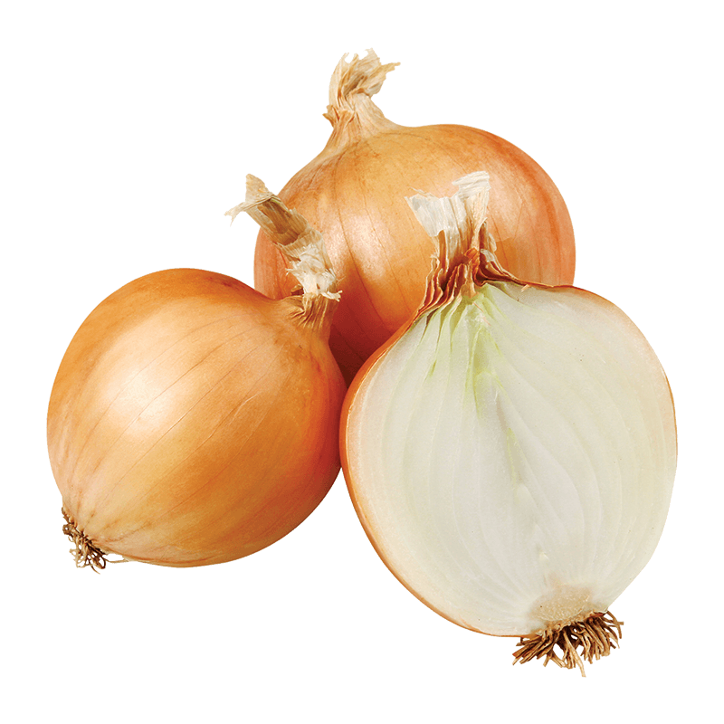 Fresh Yellow Onions