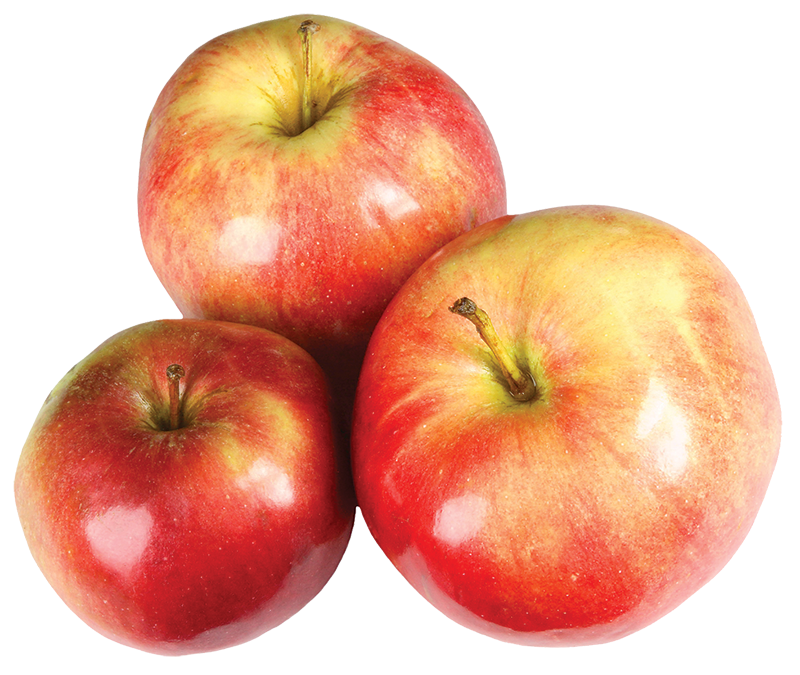Fresh McIntosh Apples