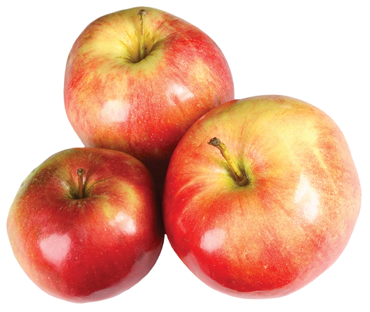 Fresh McIntosh Apples