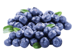 Fresh Blueberries 170 g