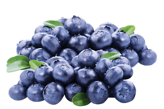 Fresh Blueberries 170 g