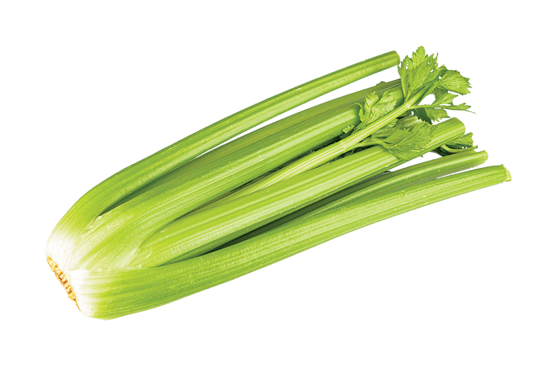 Fresh Celery Hearts