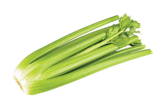 Fresh Celery Hearts