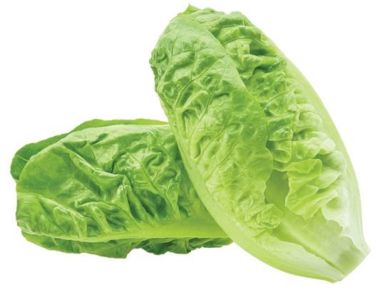 Fresh Romaine Lettuce Hearts