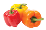 Fresh Mixed Bell Peppers