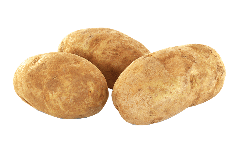 Fresh Russet Potatoes