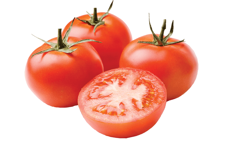 Fresh Tomatoes